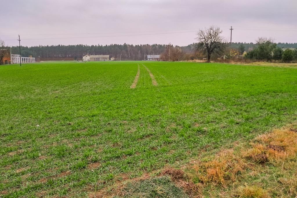 Działka na sprzedaż Świnice Warckie - ul. Dworcowa
