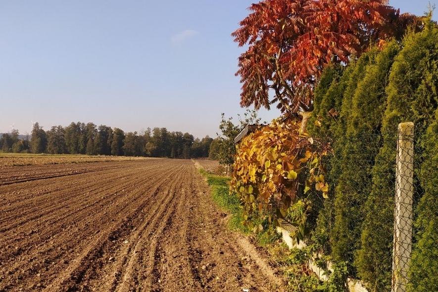 Działka na sprzedaż Jasień