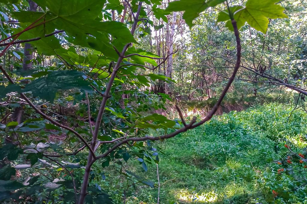 Działka na sprzedaż Kolonia Grabostów