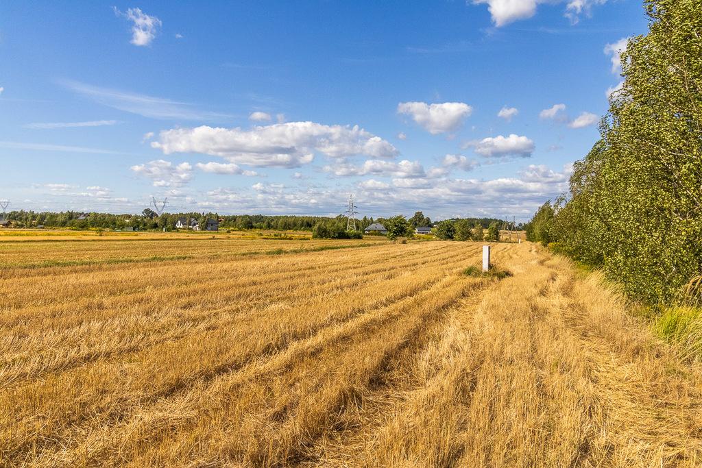 Działka na sprzedaż Skotniki - ul. Zgierska