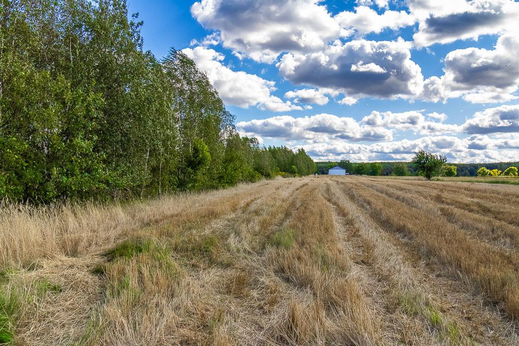 Działka na sprzedaż Skotniki - ul. Zgierska