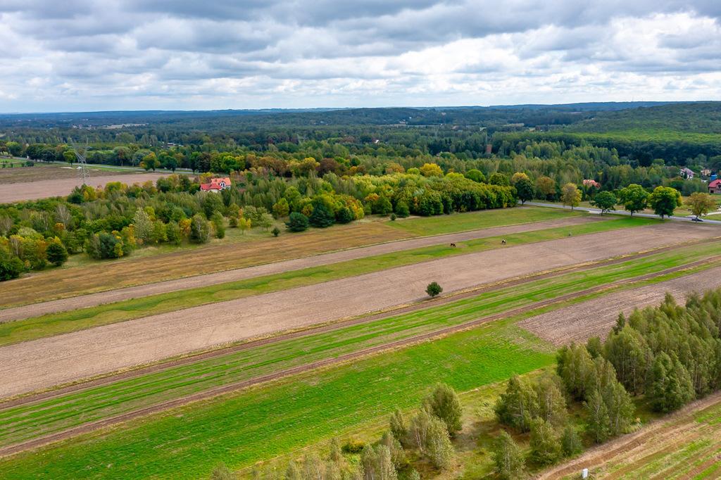 Działka na sprzedaż Skotniki - ul. Zgierska