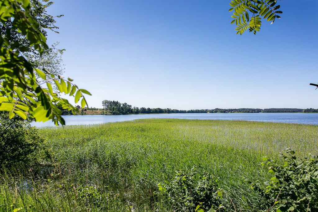 Działka na sprzedaż Kretowiny