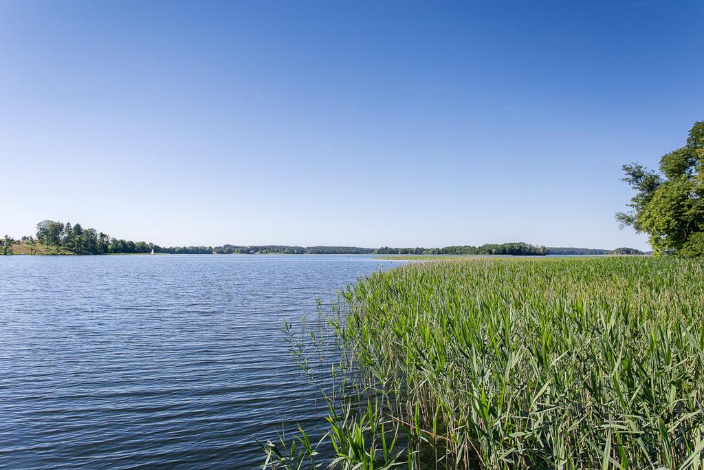 Działka na sprzedaż Kretowiny