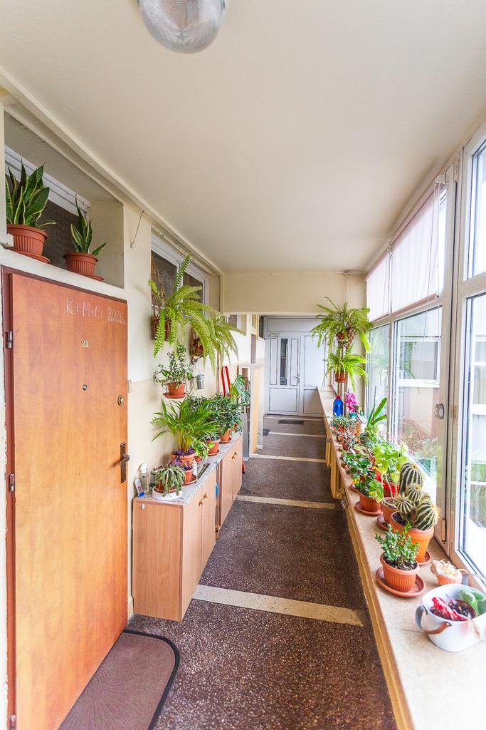 Mieszkanie na wynajem Łódź - Łódź-Śródmieście - pl. Wolności