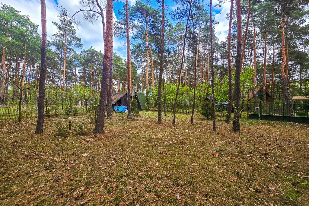 Działka na sprzedaż Łódzkie - Smolice - ul. Alejowa
