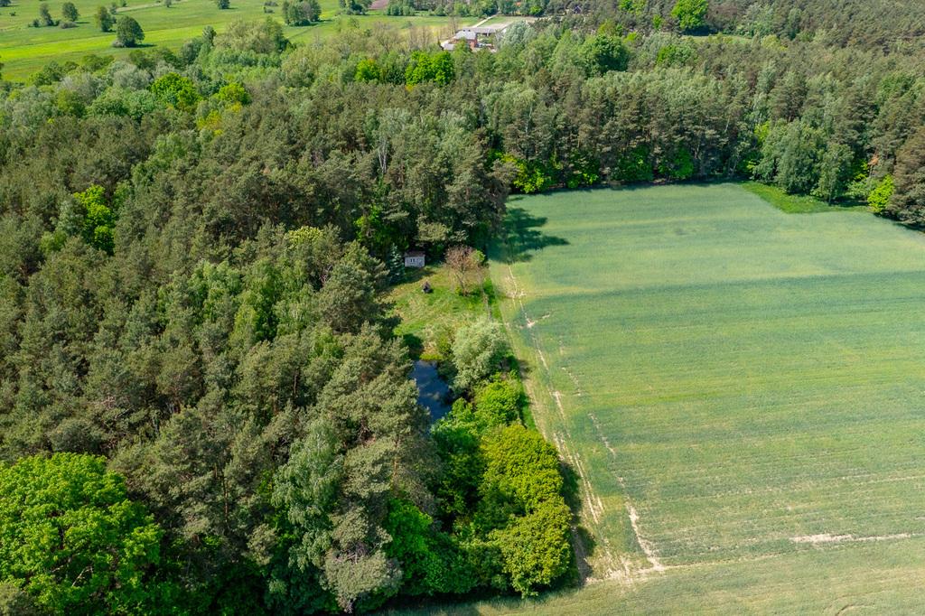 Działka na sprzedaż Łódzkie - Góry Prusinowskie