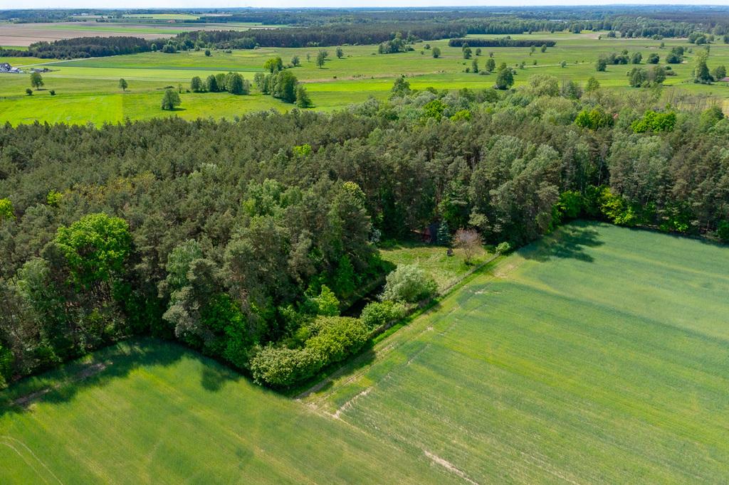 Działka na sprzedaż Łódzkie - Góry Prusinowskie