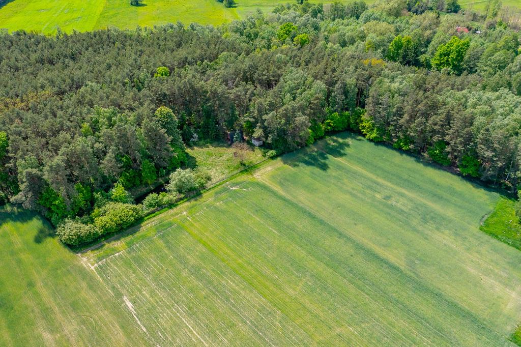 Działka na sprzedaż Łódzkie - Góry Prusinowskie