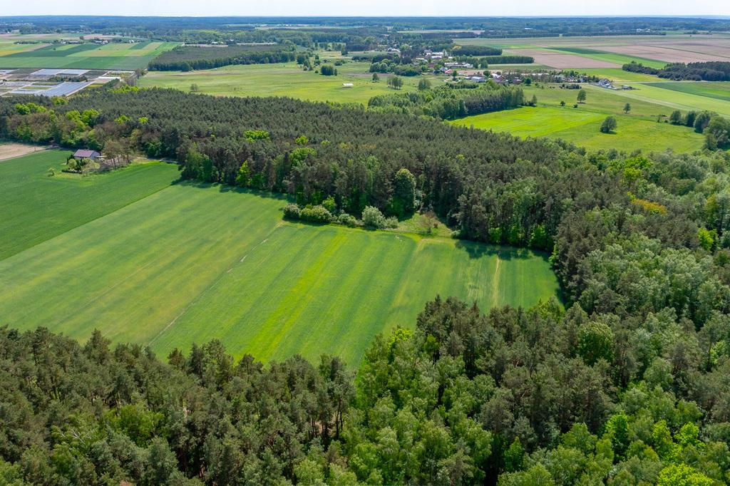 Działka na sprzedaż Łódzkie - Góry Prusinowskie