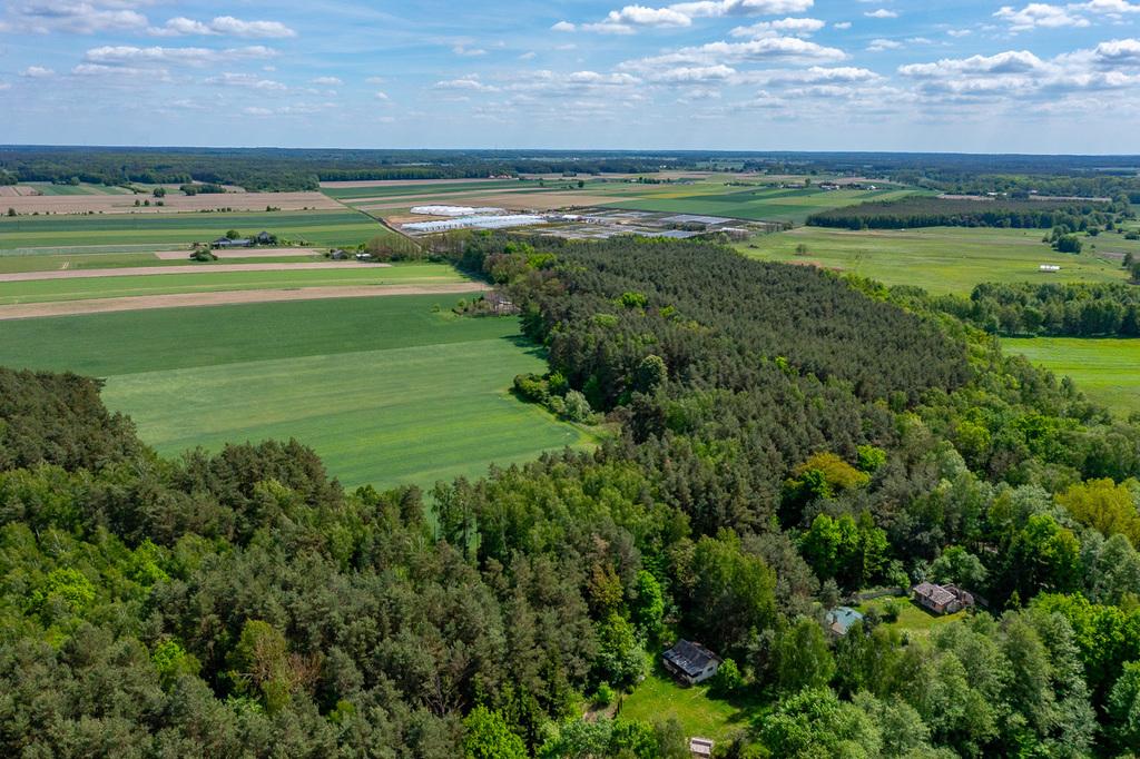 Działka na sprzedaż Łódzkie - Góry Prusinowskie