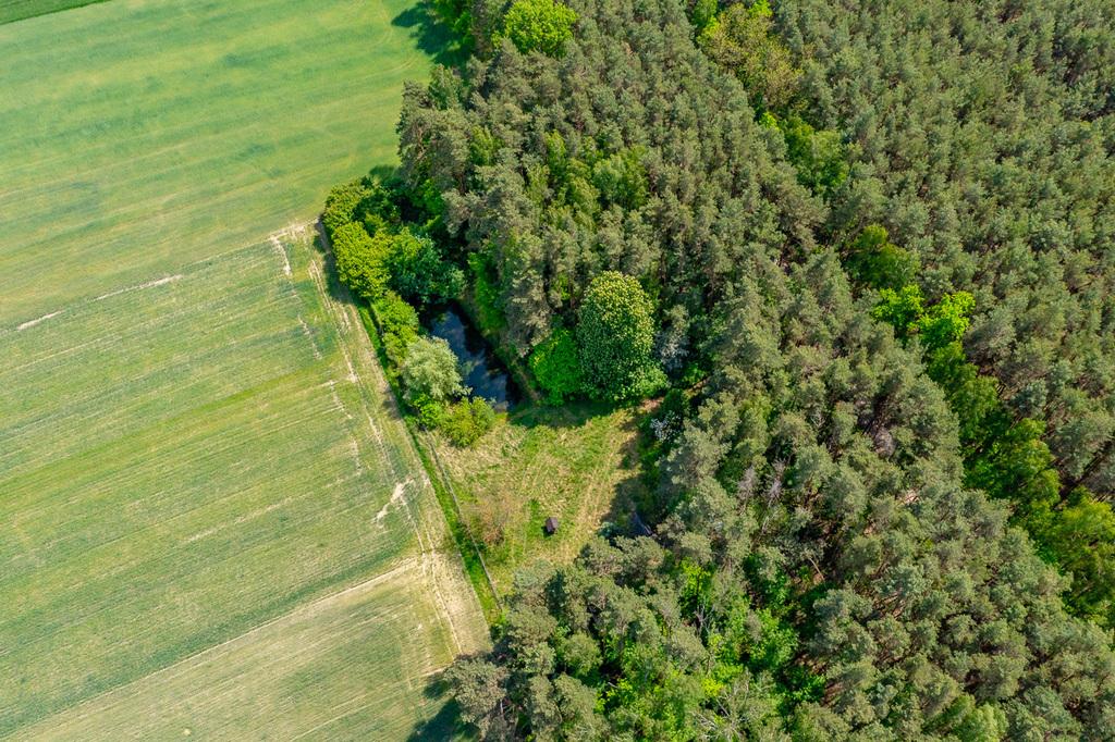 Działka na sprzedaż Łódzkie - Góry Prusinowskie